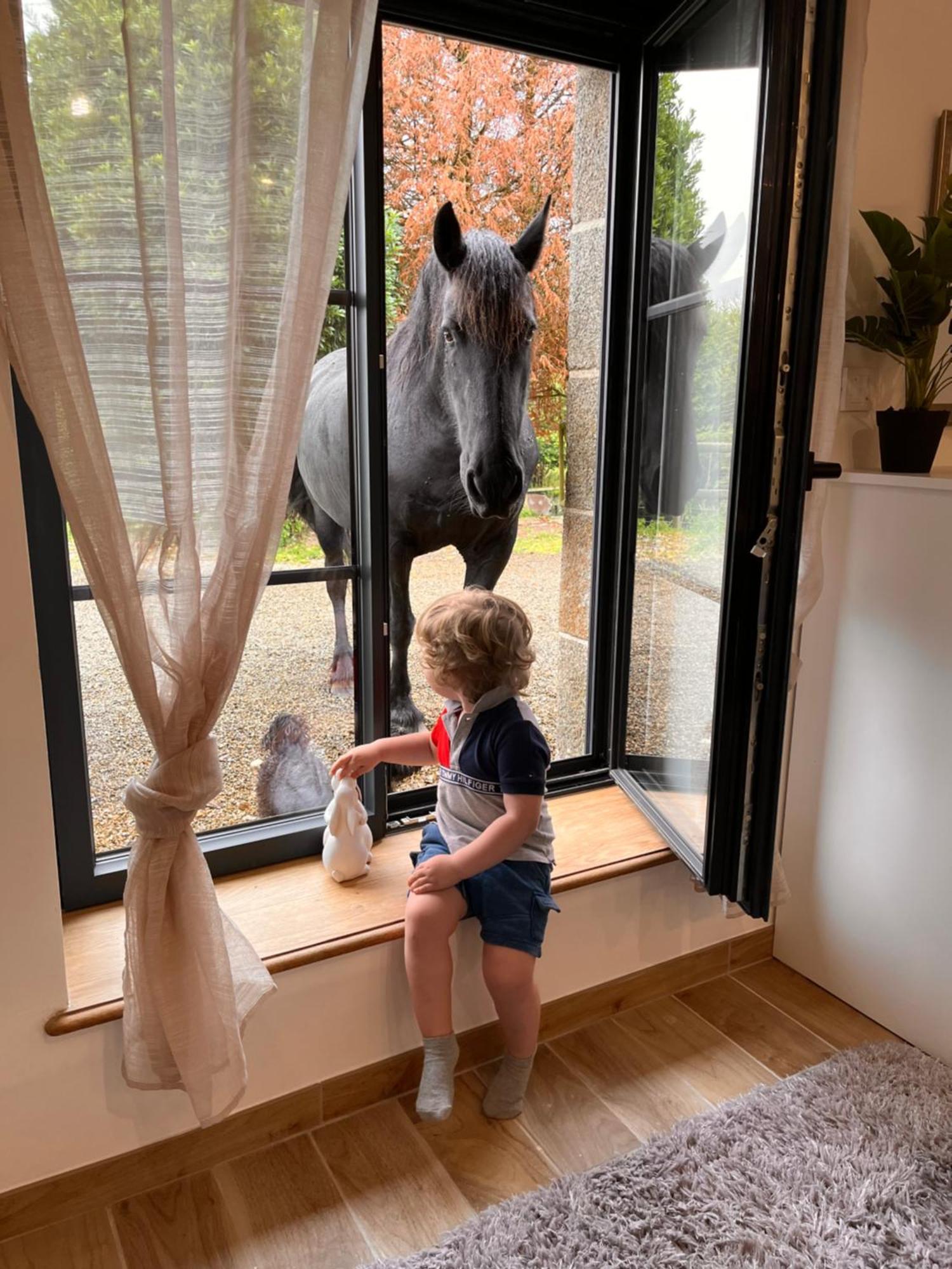Вилла Madelaine Ranch, Nouvelle Piscine 2025 Le Gast Экстерьер фото